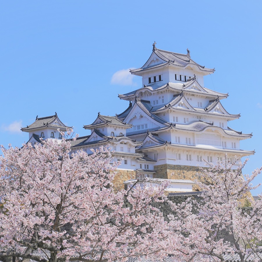 櫻花雪紛飛・暢遊京阪神 5日